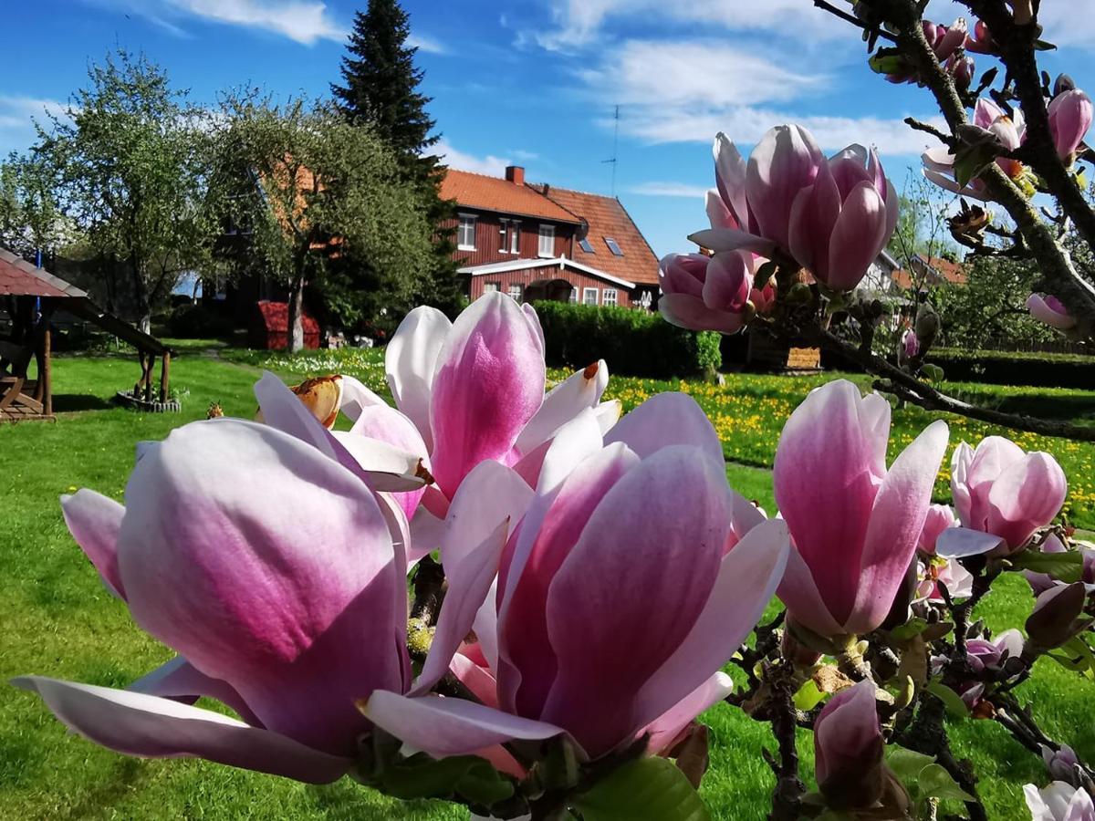 Neringarent Apartamentai Juodkrantė Dış mekan fotoğraf
